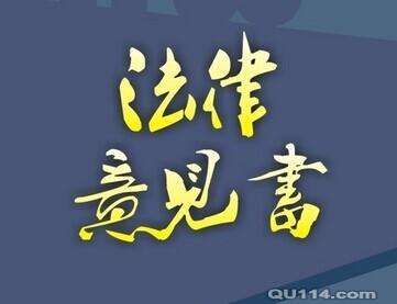 刑事法律意见书