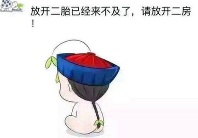 放开生二胎的段子:请放开二房! 放开生二胎的段子:请放开二房!